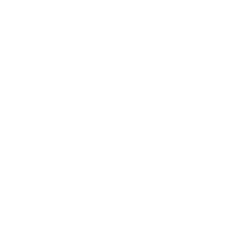 Behance Logo